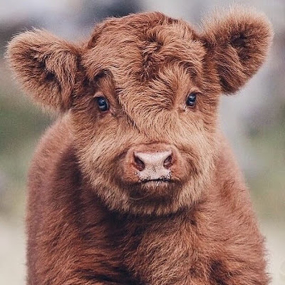 Meet your Posher, Mairead - Picture 1 of 1